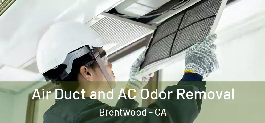  Air Duct and AC Odor Removal Brentwood - CA
