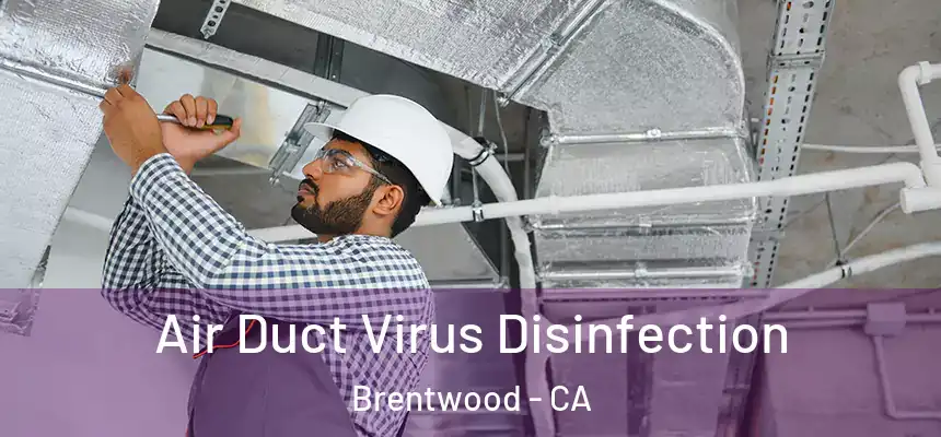  Air Duct Virus Disinfection Brentwood - CA