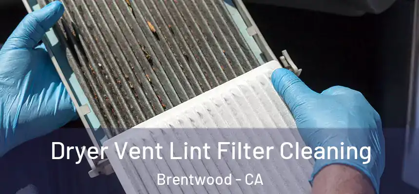  Dryer Vent Lint Filter Cleaning Brentwood - CA