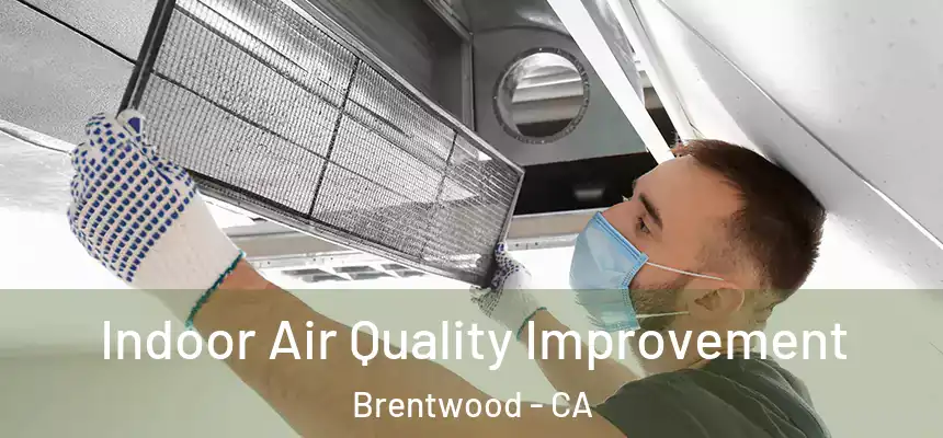  Indoor Air Quality Improvement Brentwood - CA