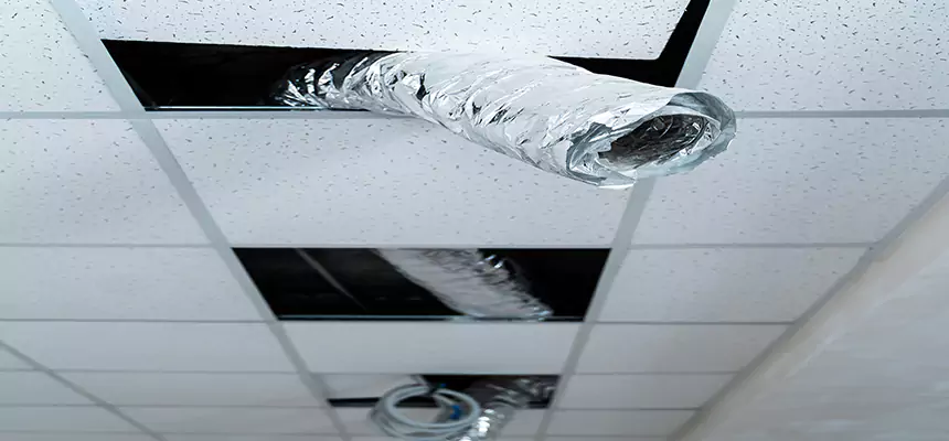 Our Air Duct Pet Hair Removal Services in Brentwood, CA