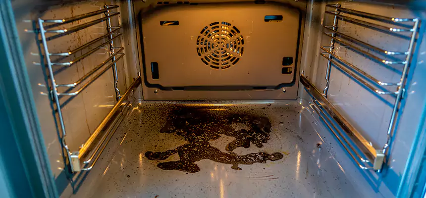 Our Dryer Vent Mold Cleaning Services in Brentwood, CA