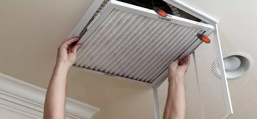 Our Insect Removal from Air Ducts Services in Brentwood, CA
