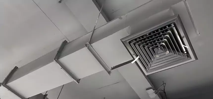 Our Rodent Droppings In Vents Services in Brentwood, CA