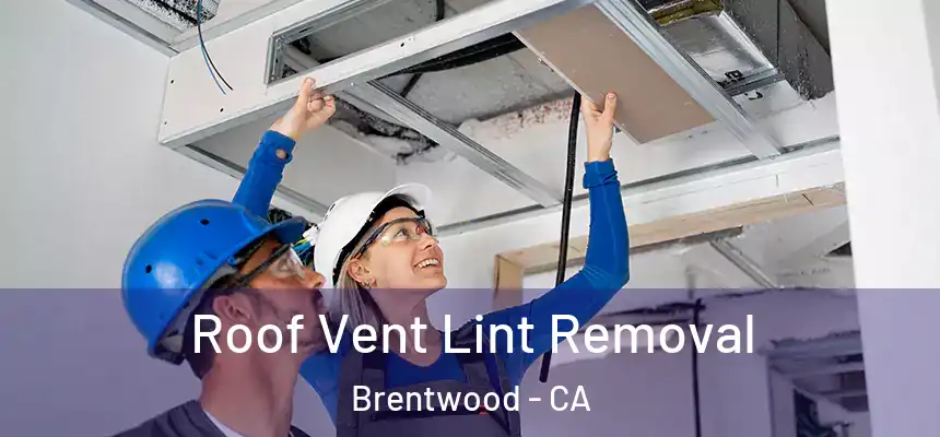  Roof Vent Lint Removal Brentwood - CA