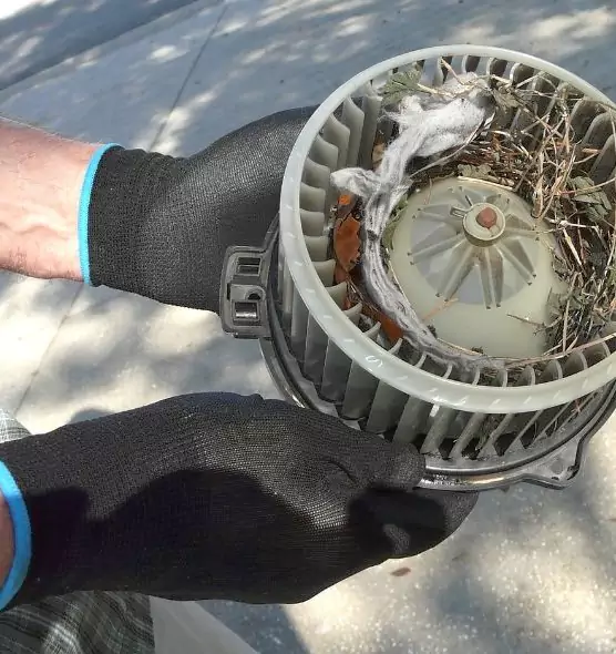 About Air Duct Rat Removal in Brentwood, CA