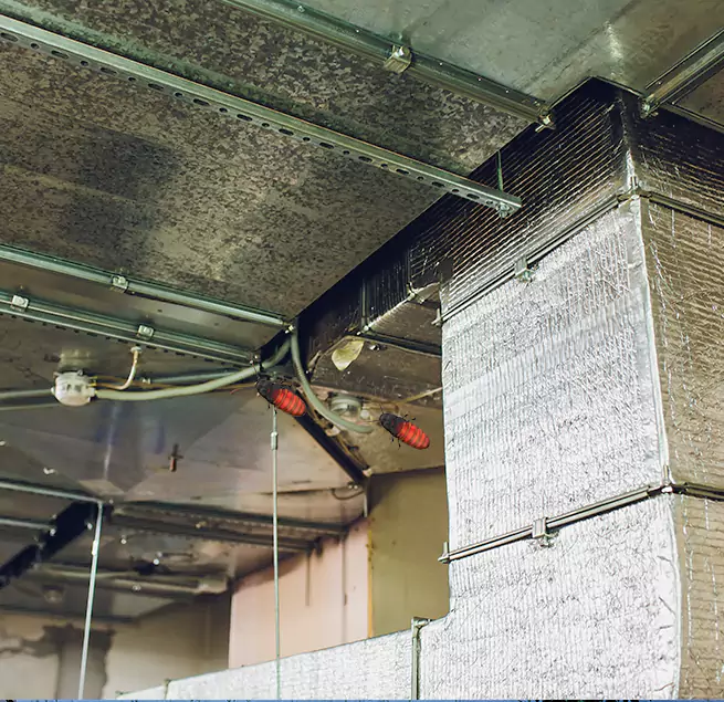 Why Homeowners & Businesses Trust Us in Brentwood, CA?