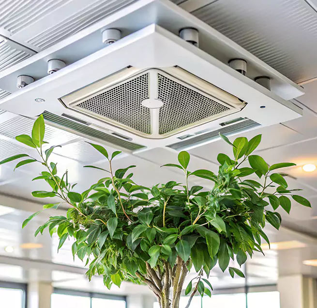 Why Homeowners & Businesses Trust Us in Brentwood, CA